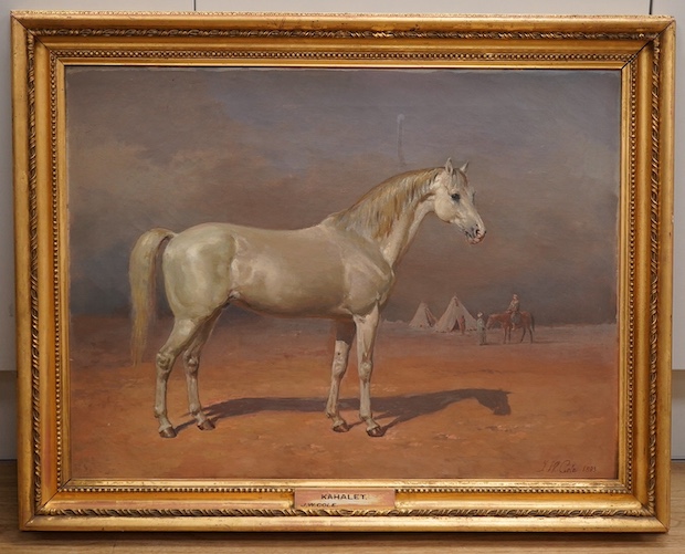 James William Cole (act.1849-1889), oil on canvas, 'The Arab Stallion 'Kahalet', signed and dated 1893, gilt framed, 45 x 60cm. Condition - fair